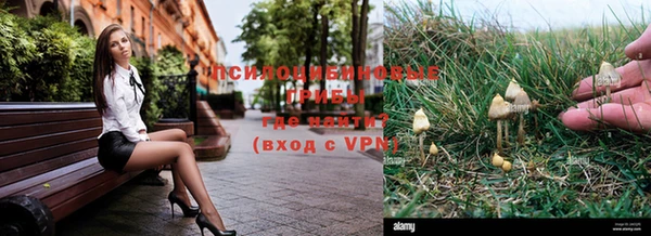 ешки Абаза