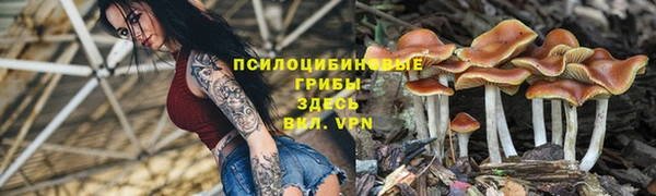 прущая мука Абинск