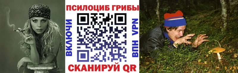 Псилоцибиновые грибы Psilocybine cubensis  что такое   Дятьково 